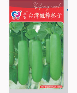 臺灣短棒瓠子
