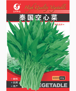 泰國空心菜