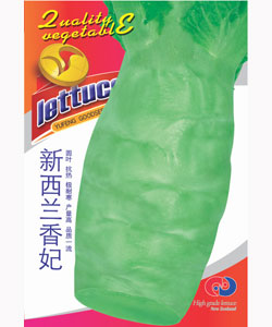 新西蘭香妃