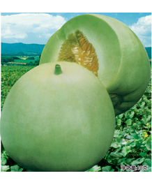 亞華青玉 