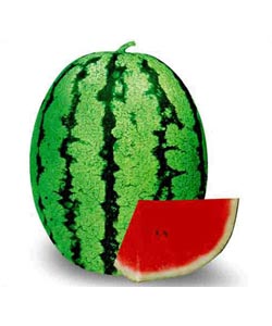 湘育八號(hào)