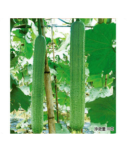 育園105