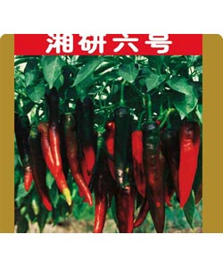 湘研六號(hào)