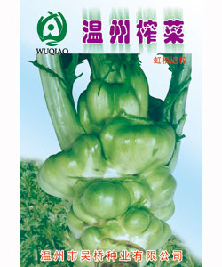 虹橋榨菜