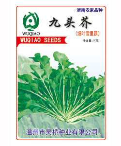 九頭芥