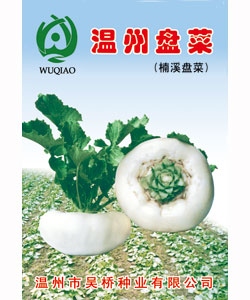 溫州盤菜