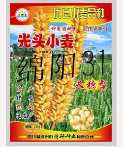 供應(yīng)光頭小麥種