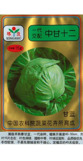 中甘十二甘藍(lán)