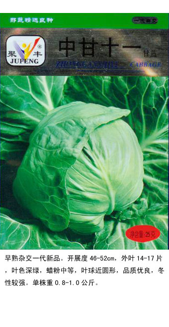 中甘十一號(hào)甘藍(lán)02