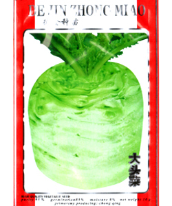 大頭菜