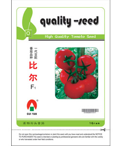 比爾