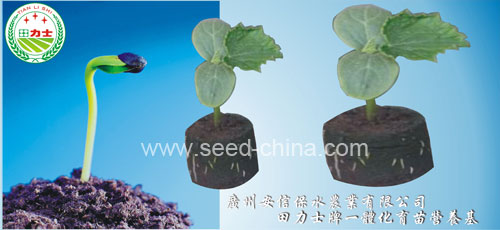 一體化育苗營(yíng)養(yǎng)基