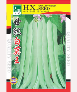世紀(jì)白莢王