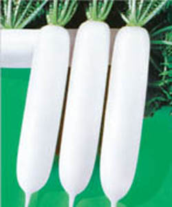 冠軍