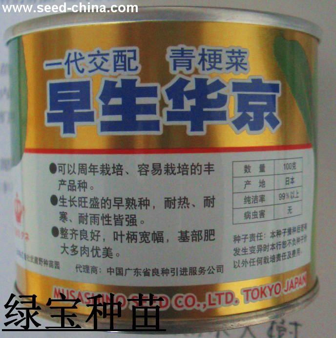 早生華京青梗菜