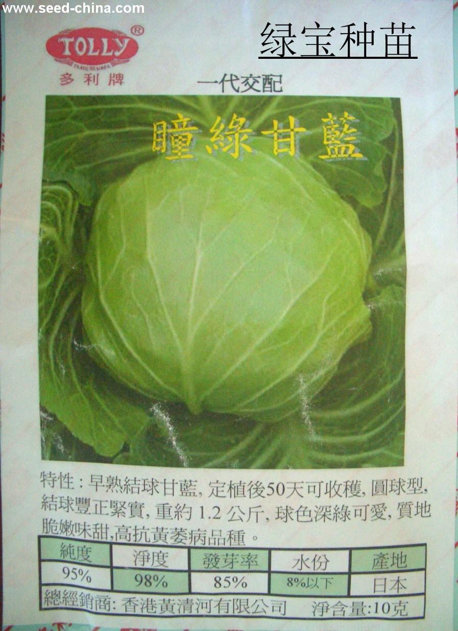 瞳綠甘藍
