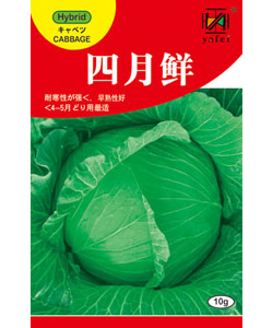 四月鮮