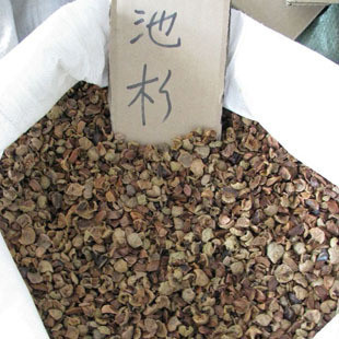標(biāo)題；泡桐種子，榆樹(shù)種子，刺槐種子等