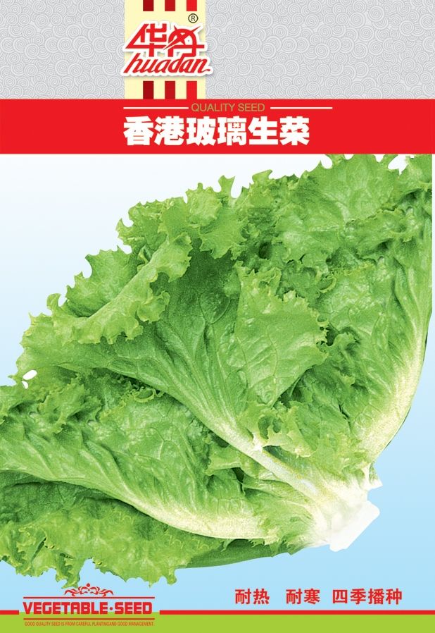 優(yōu)選香港玻璃生菜
