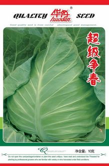 超級爭春