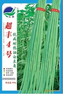 供應(yīng)豆角種子－超豐4號(hào)豆角