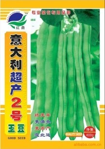 供應豆角種子－意大利超產(chǎn)2號玉豆