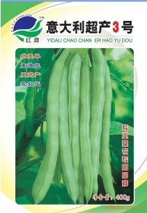 供應(yīng)豆角種子－意大利超產(chǎn)3號(hào)玉豆