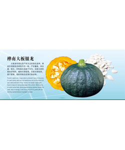 華楠大阪銀龍