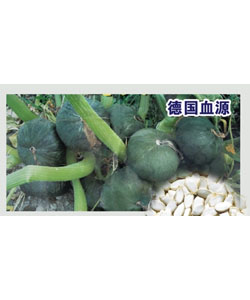 西育阿爾銀貝一號(hào)