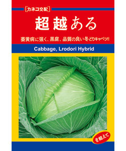 超越甘藍(lán)