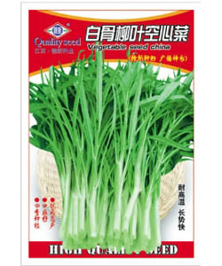 白骨柳葉空心菜