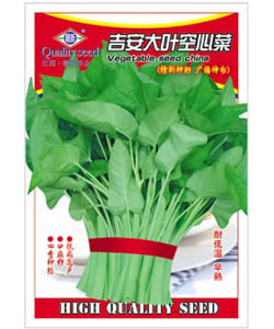 吉安大葉空心菜