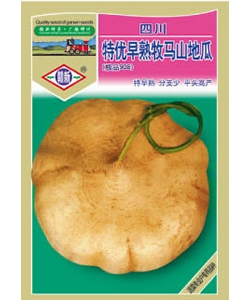 特優(yōu)早熟牧馬山地瓜
