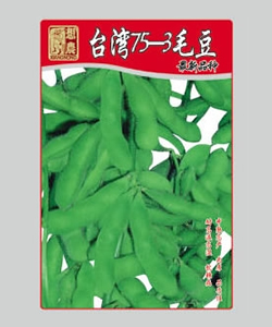 臺(tái)灣75-3毛豆