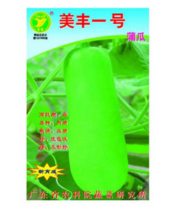美豐一號蒲瓜