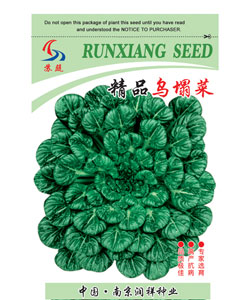 精品烏塌菜
