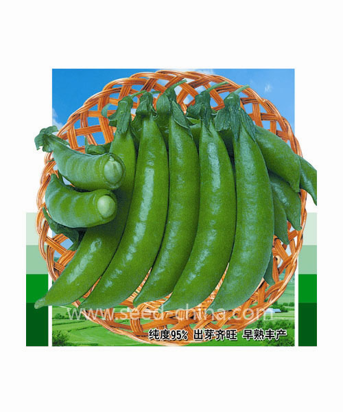 亞蔬爽蜜三號(hào)甜碗豆