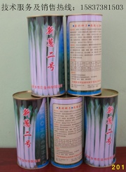 新蔥二號(hào)2