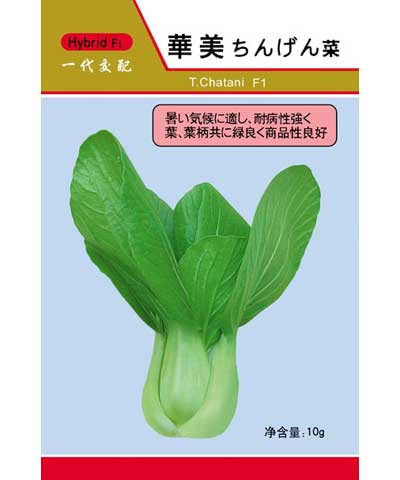 華美