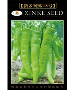新鄉(xiāng)辣椒18 號
