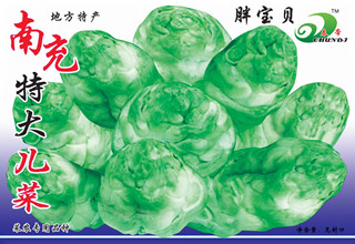 南充特大兒菜