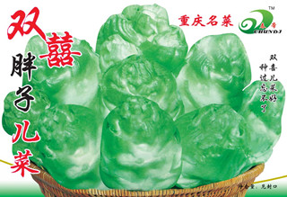 雙喜兒菜