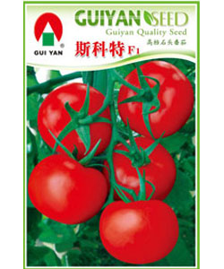斯科特