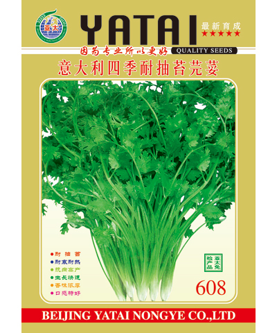 意大利四季耐抽苔芫荽