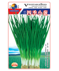 四季小蔥文