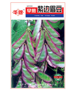 紫邊眉豆