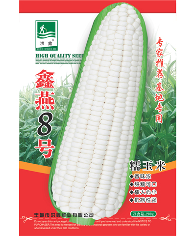 鑫燕8號糯玉米