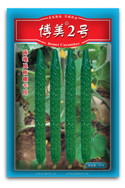 露地及秋棚黃瓜---博美2號(hào)