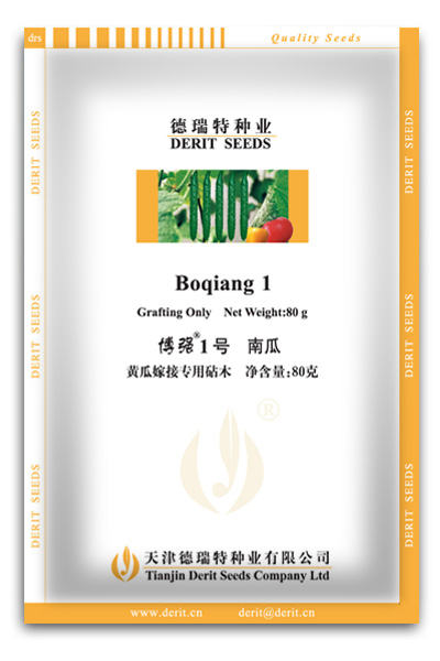 黃瓜嫁接專用砧木--博強(qiáng)1號