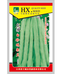 臺(tái)灣白珍珠架豆